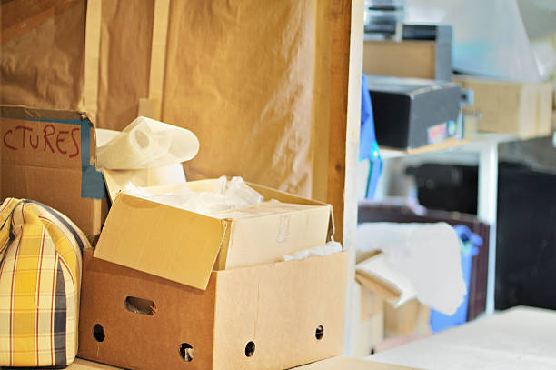 Best Hoarding Cleanup  in Edwardsburg, MI